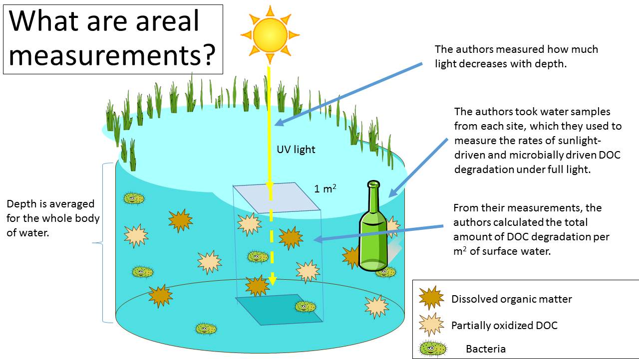 areal_measurements.jpg