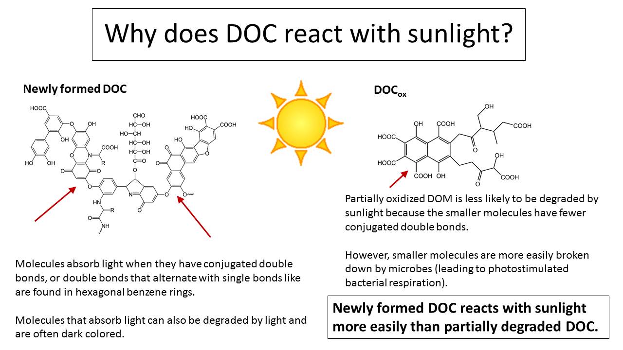 doc_and_sunlight.jpg