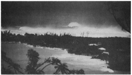 fig_2.jpg