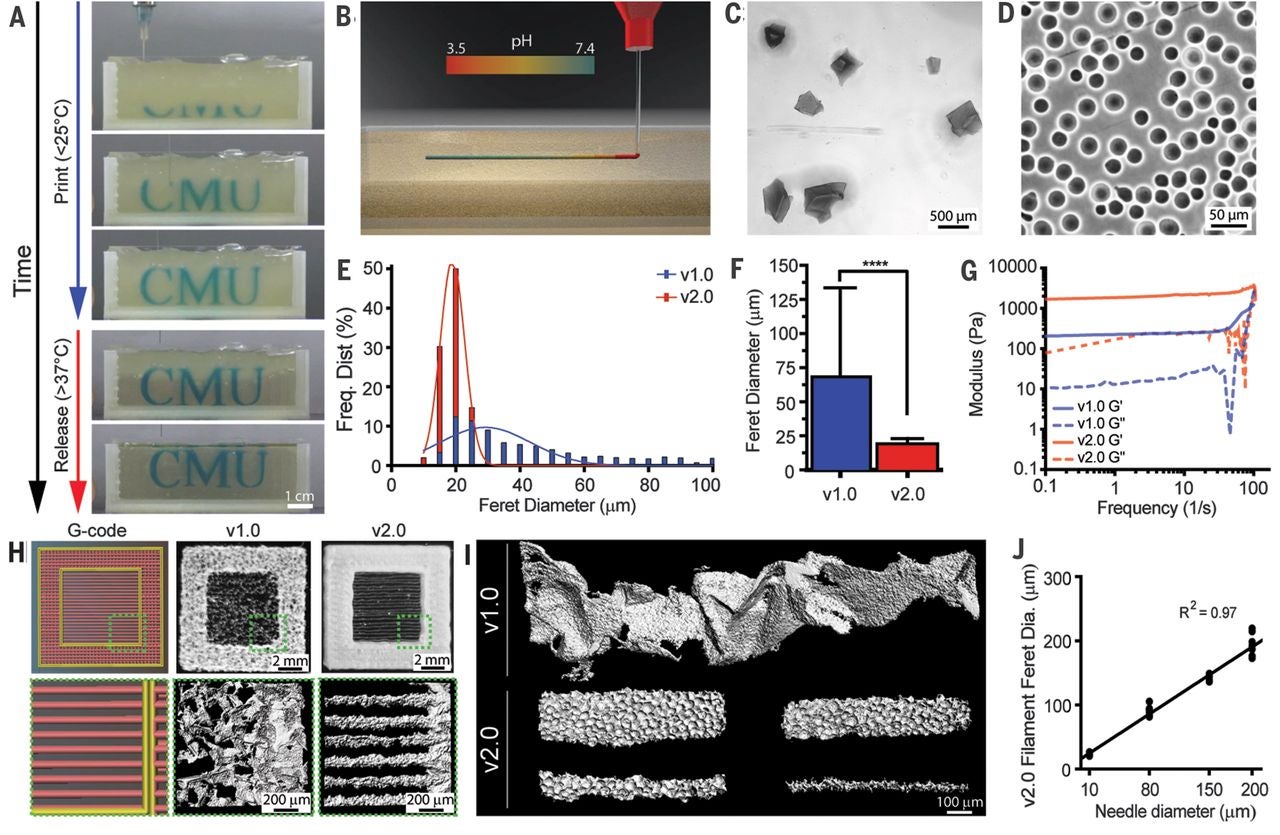 BioprintHeart_1