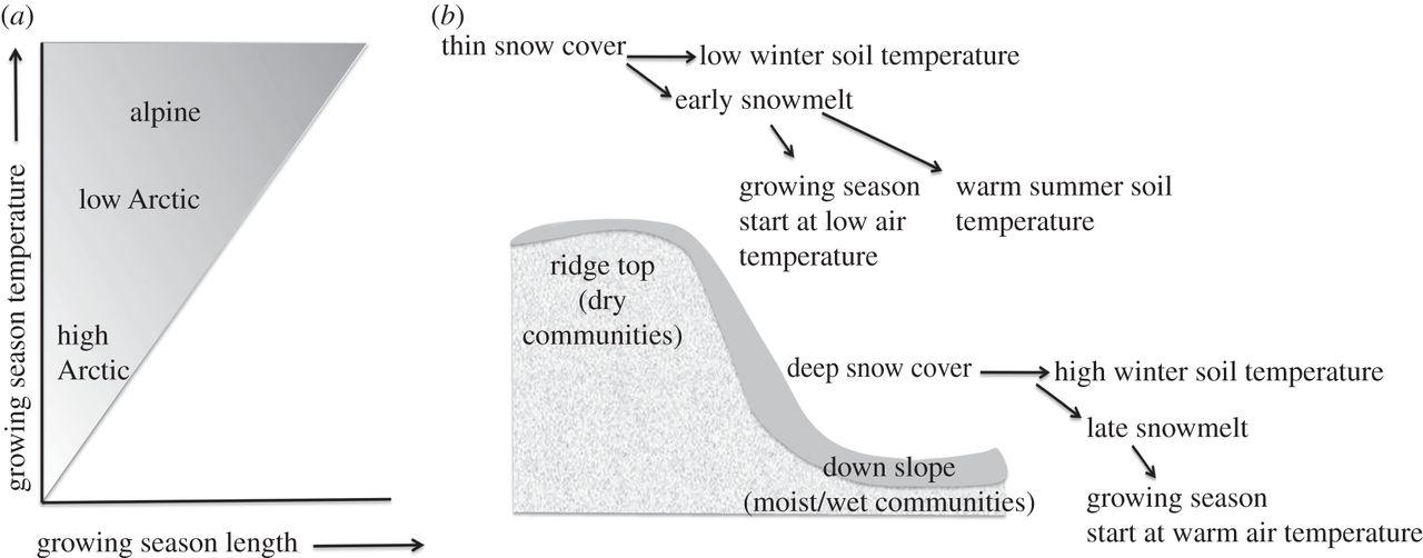 Fig.1.