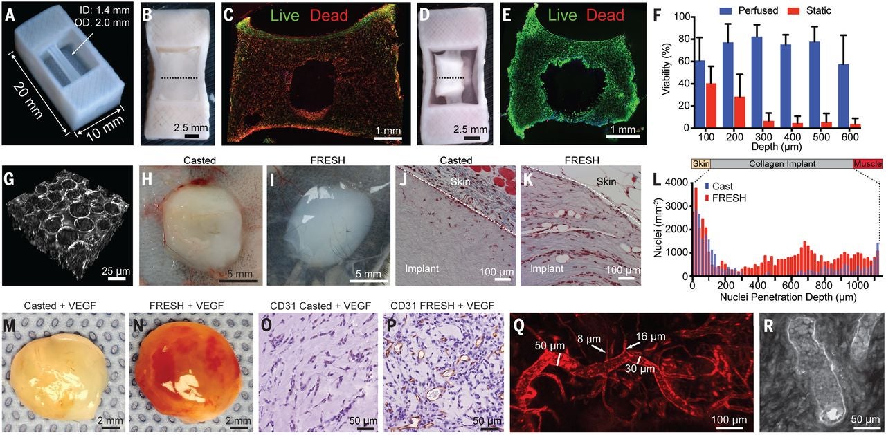 BioprintHeart_2