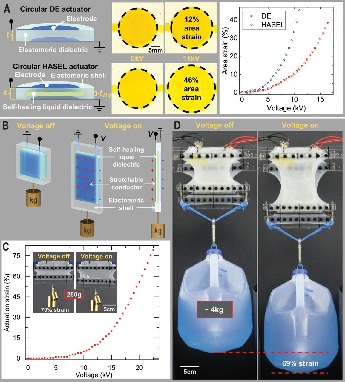 Hydraulically amplified self-healing electrostatic actuators with ...