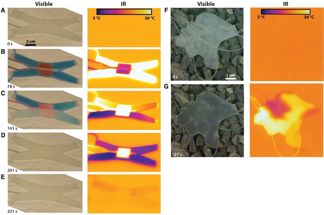 Camouflage and Display for Soft Machines | Science in the Classroom