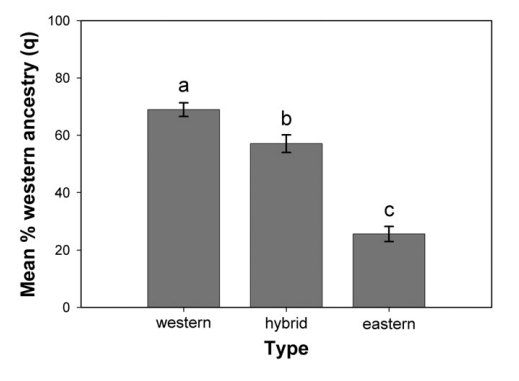 Fig.1.