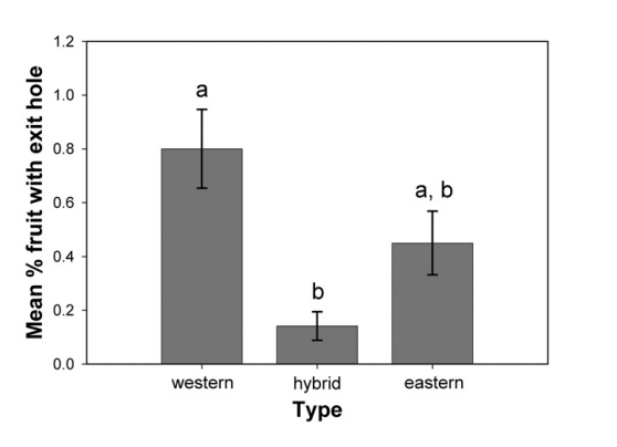 Fig.2.