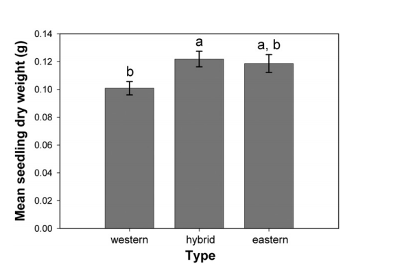 Fig.6.