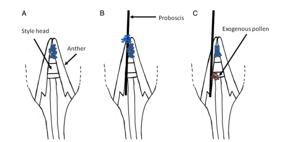 Fig.2.