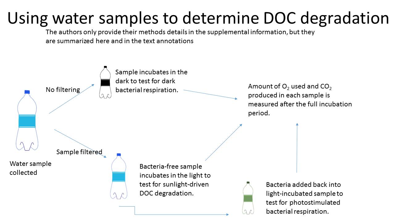 water_and_doc_deg.jpg